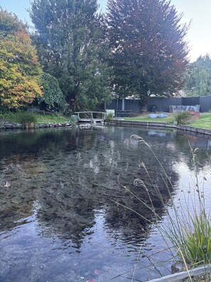 Property grounds - Central Wanaka Stay | Walk to Lake & Town | Close to Cardrona & Treble Cone (Wānaka)