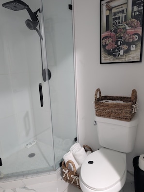 Hair dryer, towels, soap, shampoo