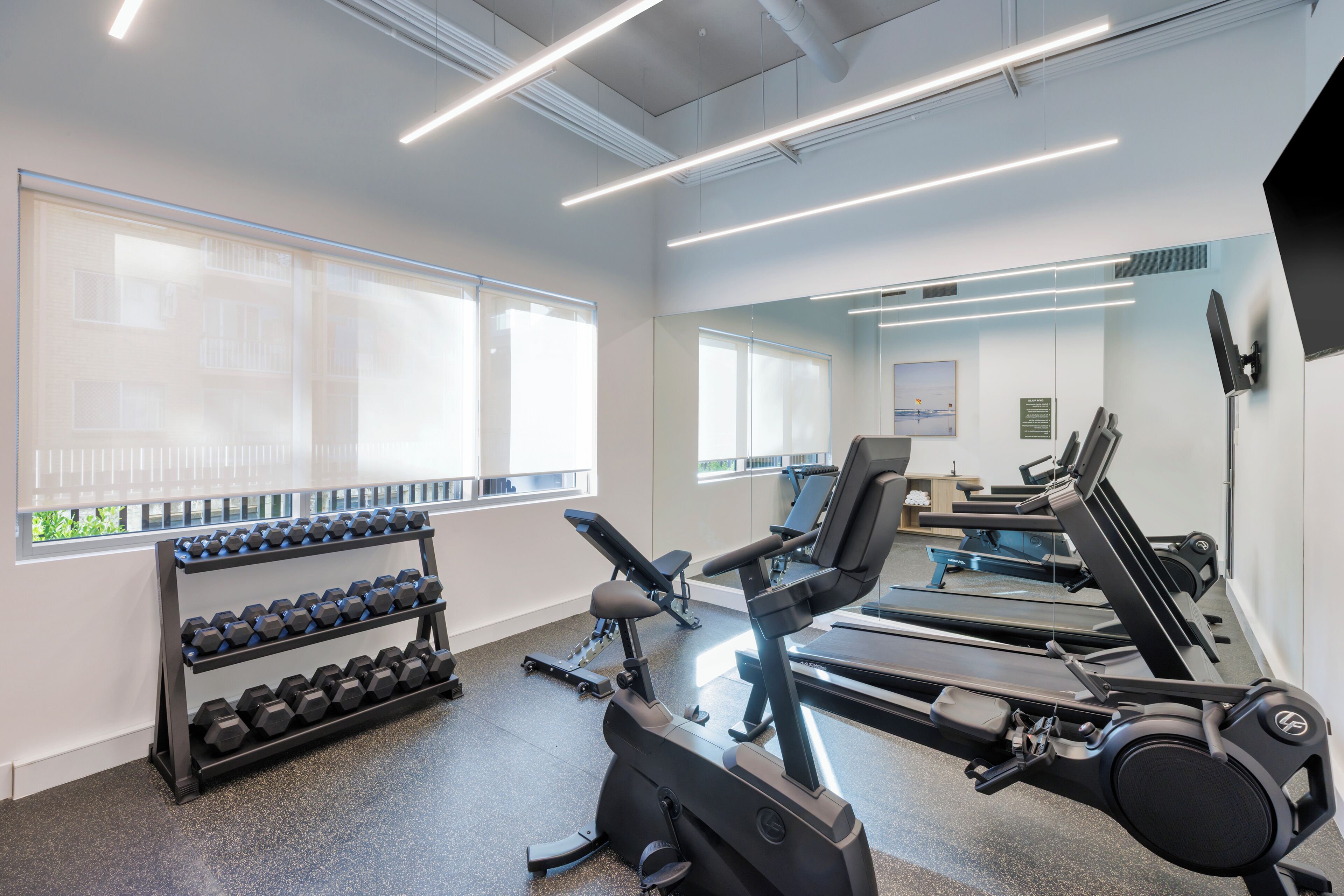 A gym with treadmills, dumbbells, and exercise equipment.