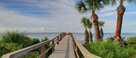 A wooden boardwalk leading to a beach with palm trees and a clear sky.