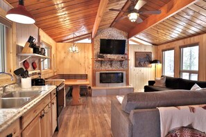 TV, fireplace - Big Springs Cabin-Macks Inn (Island Park)