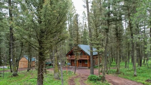 A log cabin with a porch, surrounded by tall trees and a dirt path leading to it. - Hand Crafted Log Cabin in Island Park (Island Park)
