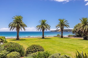 A well-maintained lawn with palm trees and a view of the ocean. - Beachfront 25 The Strand | Moana (Waiheke Island)