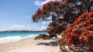 A beach with red flowering trees and a clear view of the ocean. - Beachfront 25 The Strand | Moana (Waiheke Island)