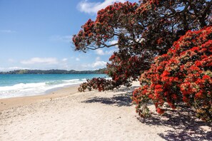 A beach with red flowering trees and a clear view of the ocean. - Beachfront 25 The Strand | Moana (Waiheke Island)