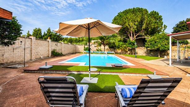 Un jardin avec une piscine, deux chaises longues et un parasol de patio.