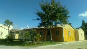 Un edificio giallo con un grande albero di fronte, una strada asfaltata e un cielo azzurro intenso.
