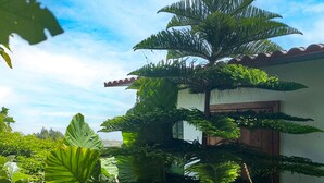 Et hus omgivet af frodig tropisk vegetation og en klar blå himmel.