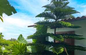 Una casa envoltada de vegetació tropical exuberant i un cel blau clar.