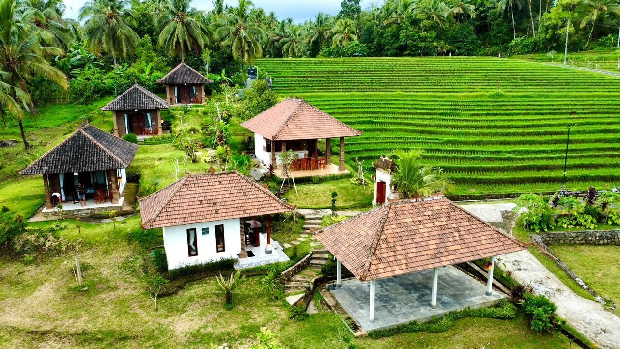 施設からの眺望