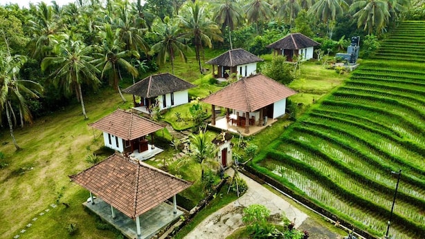 Un complexe hôtelier tropical composé de plusieurs bâtiments de style bungalow, entouré d’une végétation luxuriante et de rizières en terrasses.