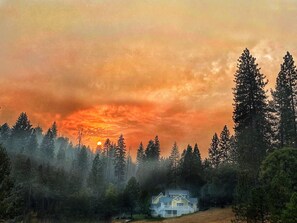 View from property - Blackberry Inn (Yosemite National Park)