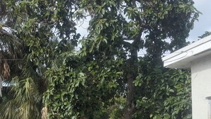 Comfort Apartment, Patio, Garden View | Kawasan hartanah