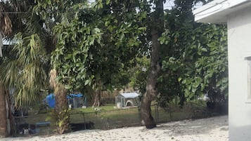 Comfort Apartment, Patio, Garden View | Property grounds