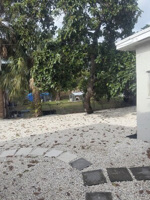 Comfort Apartment, Patio, Garden View | Property grounds - Fort Lauderdale Airport Pacifica Bleu LK (Dania Beach)