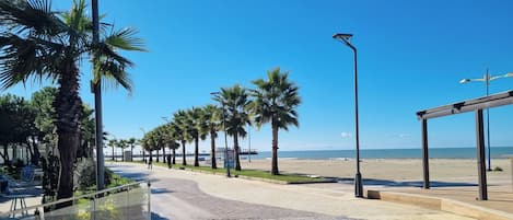 在海灘附近
