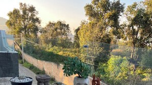 Una terraza en la azotea con plantas en macetas, una escultura de piedra y vistas a árboles y colinas.