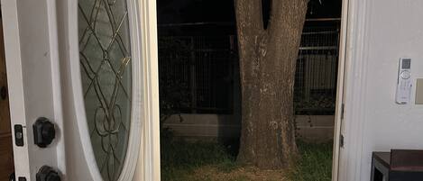 A residential entrance with a door, a tree, and a security keypad.