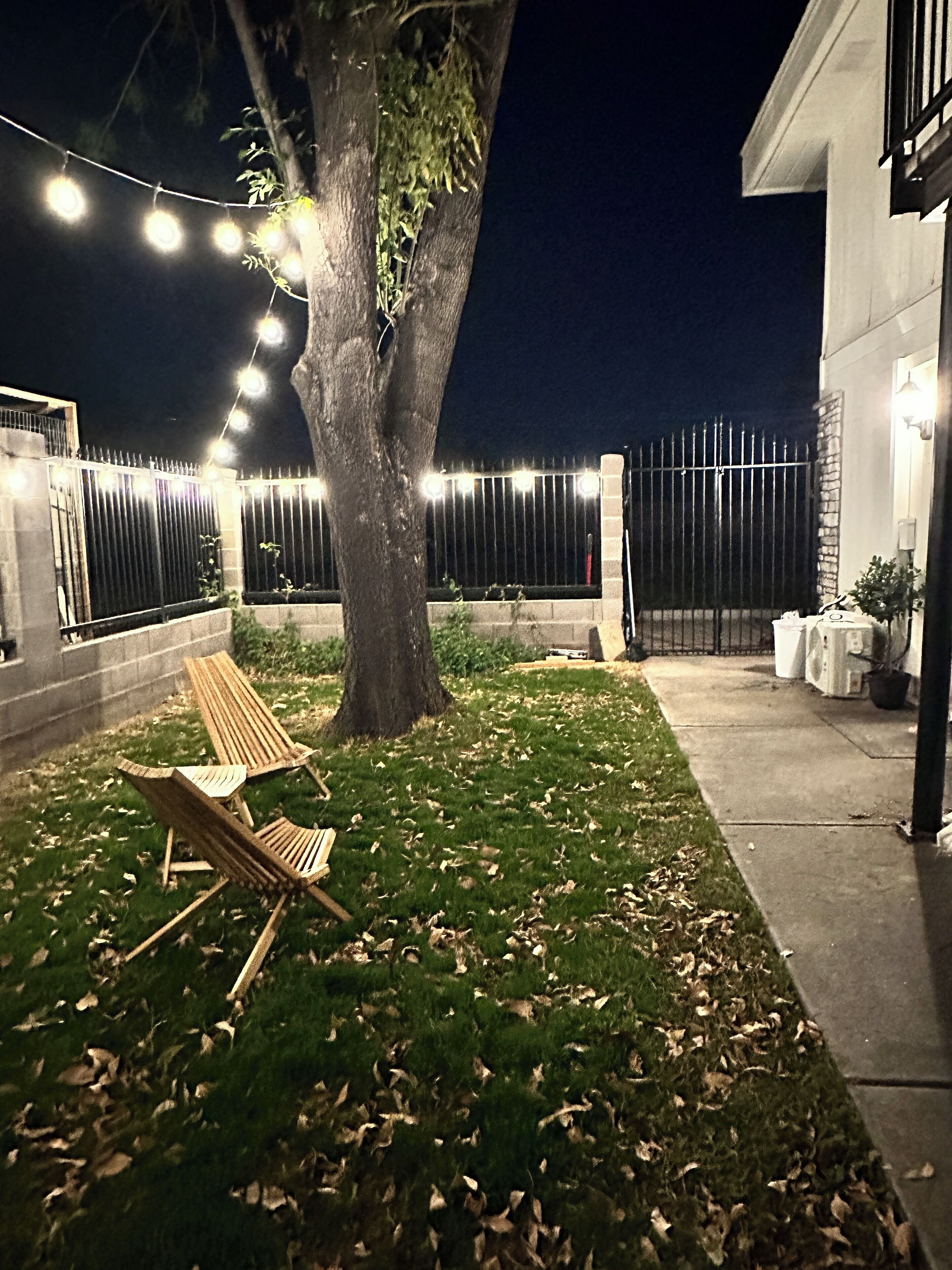 A tree-lined backyard with a wooden bench, a metal fence, and string lights.