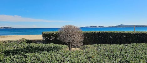 Plage à proximité