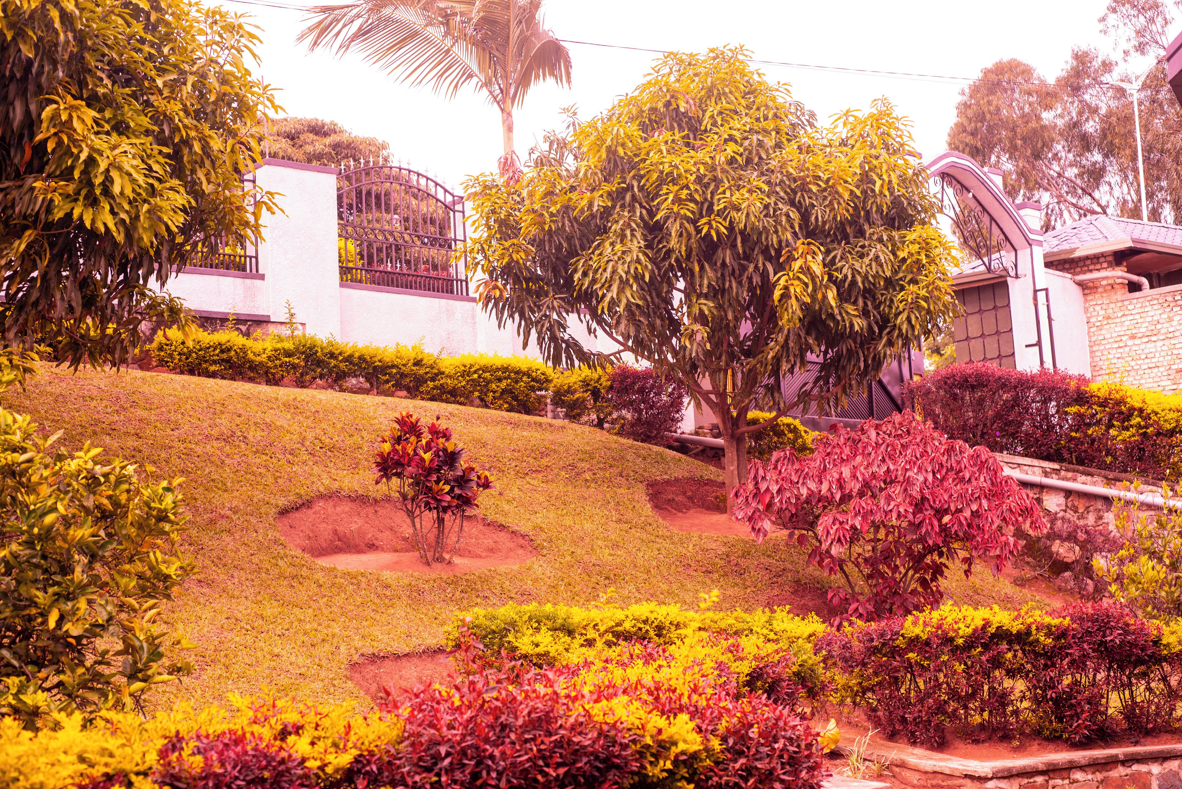 Classic Double Room, Garden View | Property grounds