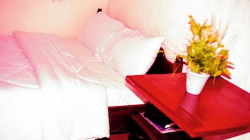 Classic Double Room, Garden View | Desk, laptop workspace, free WiFi