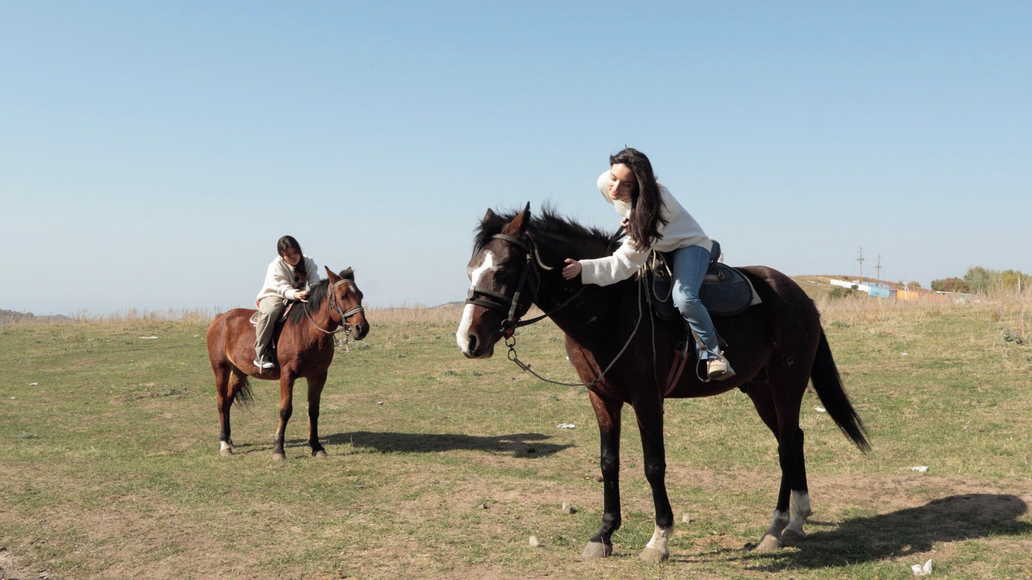 Two people riding horses in a grassy field with a clear sky.