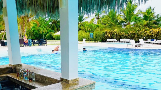 Une piscine bordée de pierres, des chaises longues et des palmiers en arrière-plan.