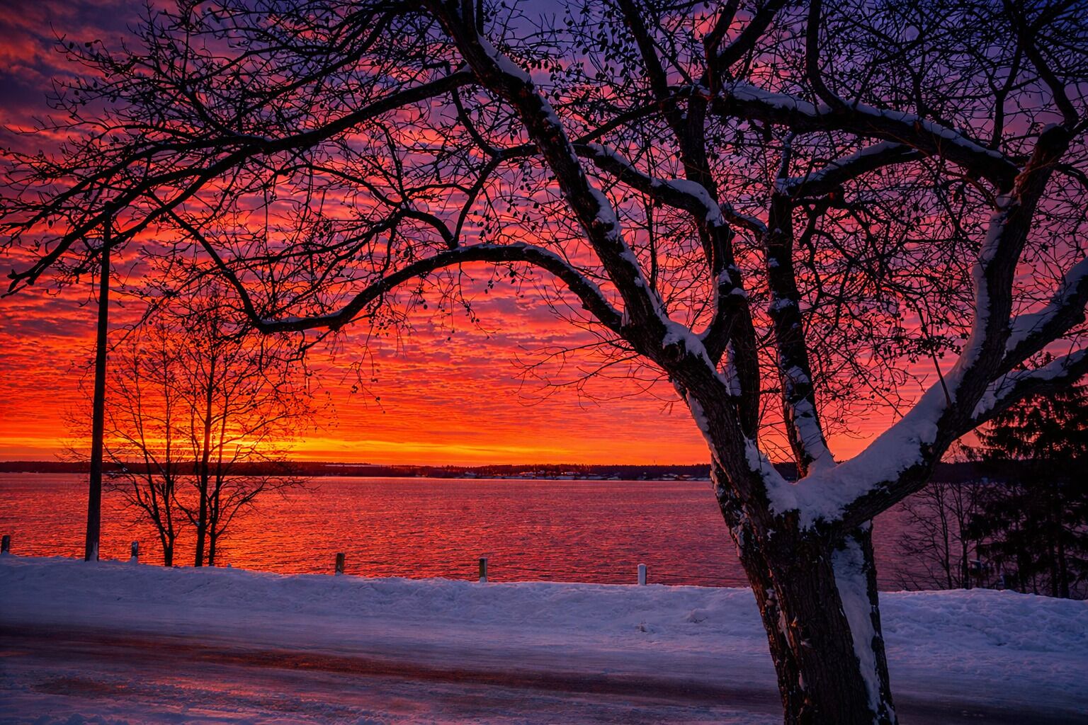 A snowy landscape with a sunset over a body of water, featuring bare trees and a clear sky.