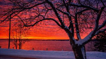 A snowy landscape with a sunset over a body of water, featuring bare trees and a clear sky.