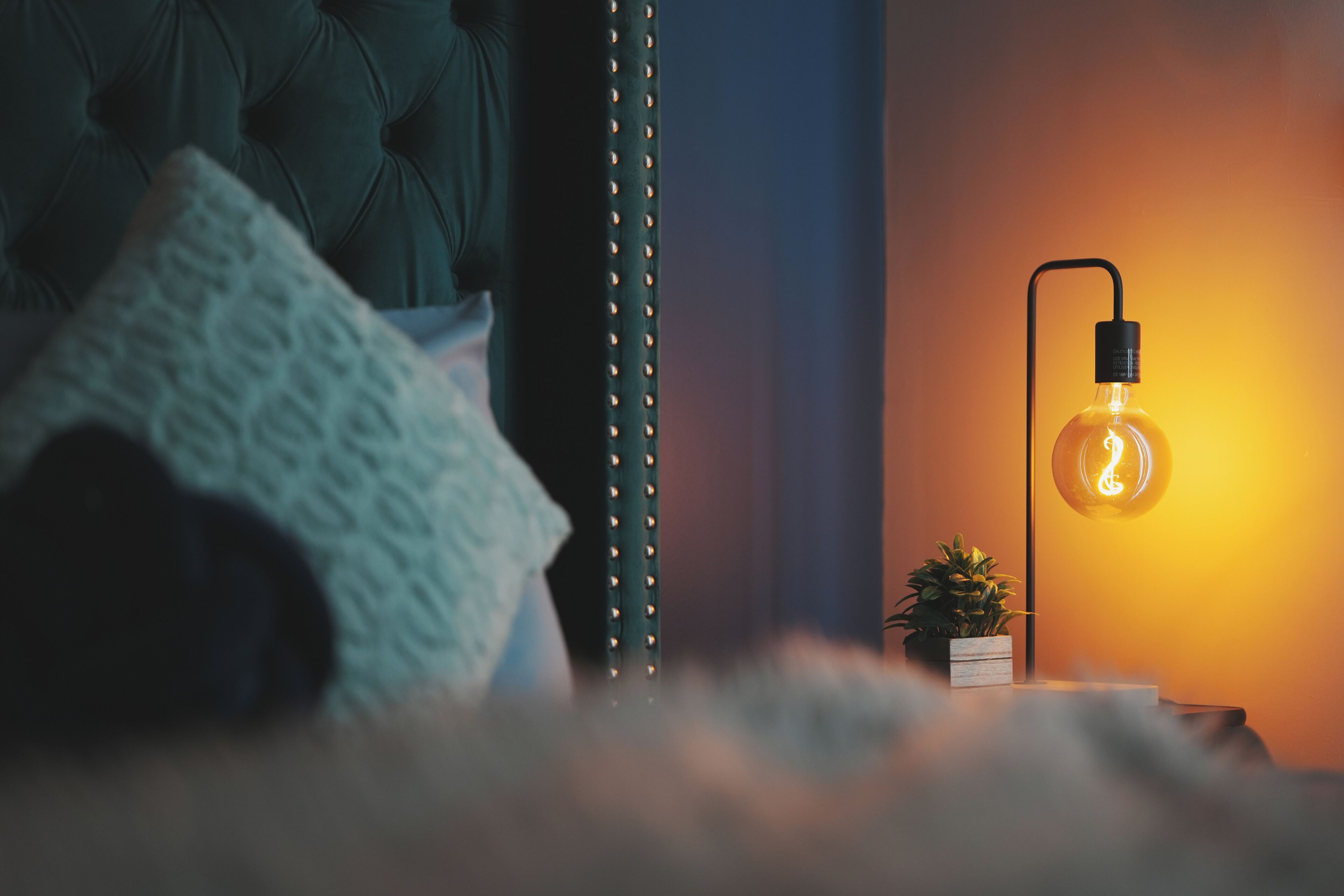 A bedroom with a tufted headboard, a bedside lamp with a glass bulb, a small potted plant, and a white bedside table.