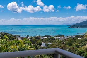 Property grounds - Coastal Calm at Searene (Airlie Beach)