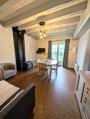 TV, fireplace, books - The source - Le Grand-Pressigny (Le Grand-Pressigny)