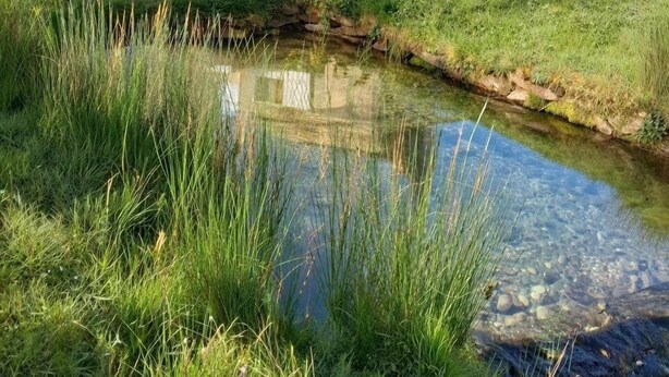 A house with a small stream in front, surrounded by grass and a wooden fence. - The source - Le Grand-Pressigny (Le Grand-Pressigny)