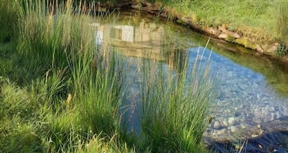 The source - Le Grand-Pressigny