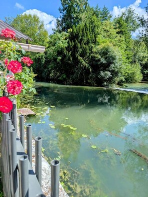 Ein friedlicher Teich mit klarem Wasser, umgeben von üppiger Vegetation und einem hölzernen Zaun.