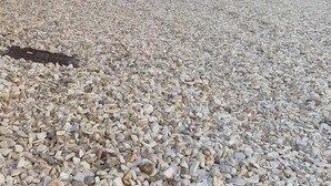 Un patio con un muro de piedra, una puerta de madera y suelo de grava.