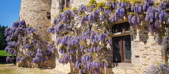 Ce magnifique château spacieux peut accueillir 23 personnes 10 chambre