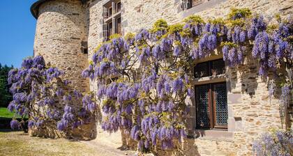 This magnificent, spacious château can accommodate 23 people in 10 rooms.