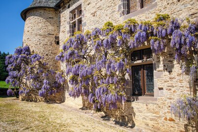 This magnificent, spacious château can accommodate 23 people in 10 rooms.