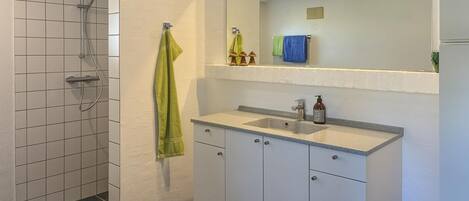 Een badkamer met een douche, een wastafel en een spiegel.
