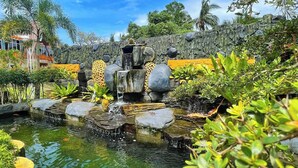 Un jardin avec un étang, des rochers et des plantes.