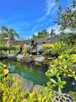 Un jardín con un estanque, rocas y plantas.