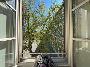 Interior - Apartment in Lucca with 2 bedrooms sleeps 6 (Lucca)