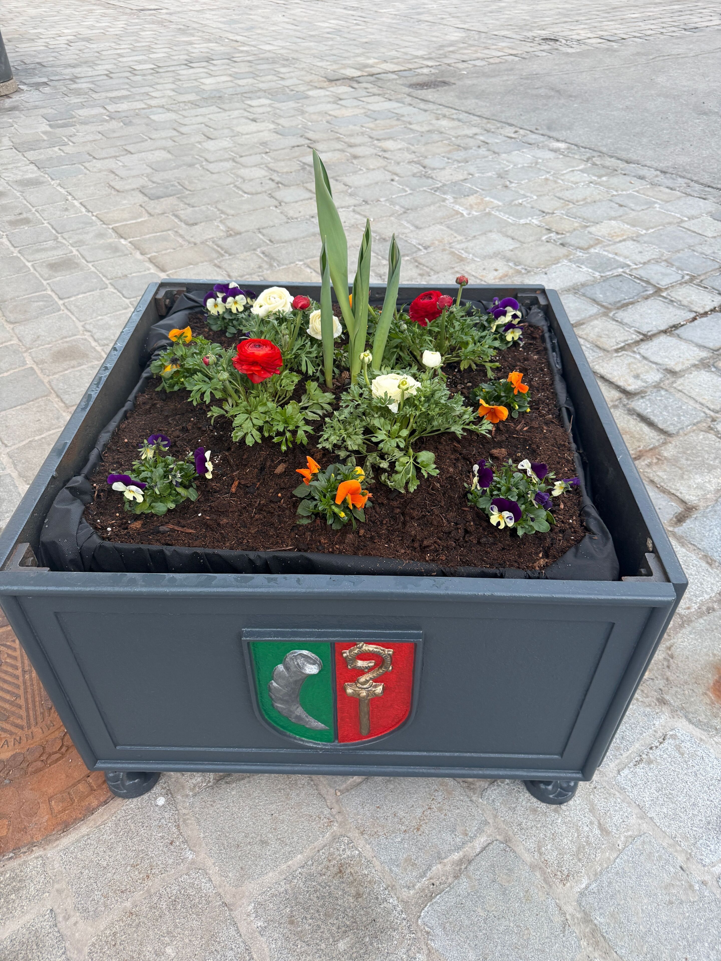 Plaça de flors amb plantes verdes i un logotip.