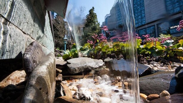 Un élément décoratif aquatique composé d’un ruisseau qui serpente sur des rochers, le tout étant entouré d’un jardin où poussent différentes plantes et fleurs.