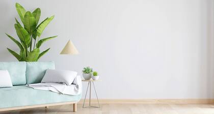 Dummy Listing for testing. Don't book