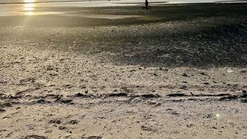 Chalet | Pantai