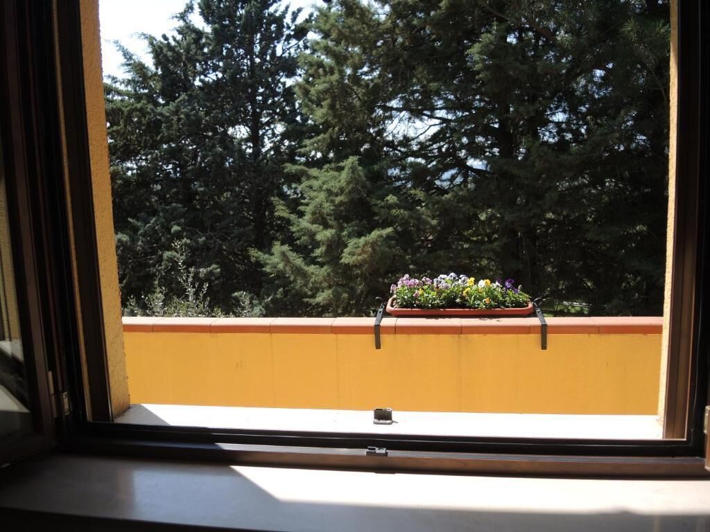 Classic-Einzelzimmer, Hügelblick | Innenbereich