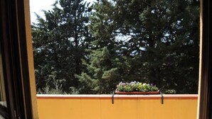 Een raam met uitzicht op een gele muur en een bloembak met verschillende bloemen.